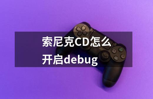 索尼克CD怎么开启debug-第1张-游戏资讯-龙启科技