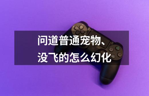 问道普通宠物、没飞的怎么幻化-第1张-游戏资讯-龙启科技