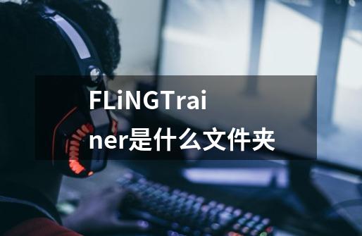 FLiNGTrainer是什么文件夹-第1张-游戏资讯-龙启科技