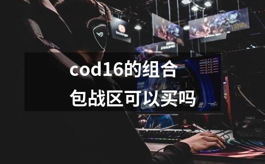 cod16的组合包战区可以买吗-第1张-游戏资讯-龙启科技