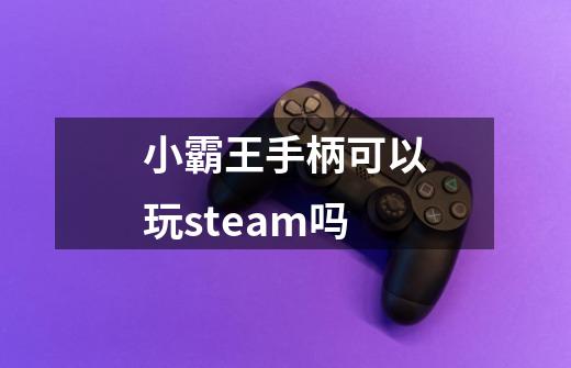 小霸王手柄可以玩steam吗-第1张-游戏资讯-龙启科技