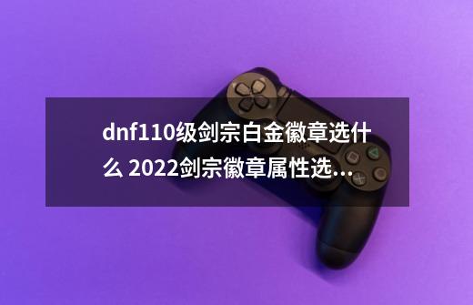 dnf110级剑宗白金徽章选什么 2022剑宗徽章属性选择推荐-第1张-游戏资讯-龙启科技