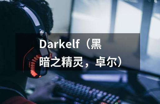 Darkelf（黑暗之精灵，卓尔）-第1张-游戏资讯-龙启科技