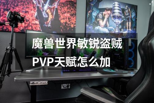 魔兽世界敏锐盗贼PVP天赋怎么加-第1张-游戏资讯-龙启科技