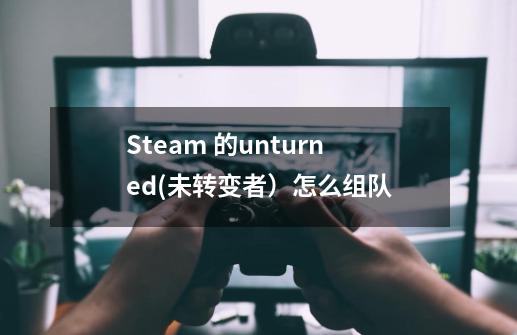 Steam 的unturned(未转变者）怎么组队-第1张-游戏资讯-龙启科技