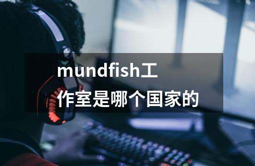 mundfish工作室是哪个国家的-第1张-游戏资讯-龙启科技