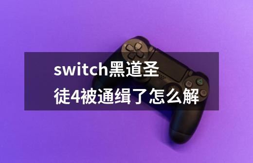 switch黑道圣徒4被通缉了怎么解-第1张-游戏资讯-龙启科技