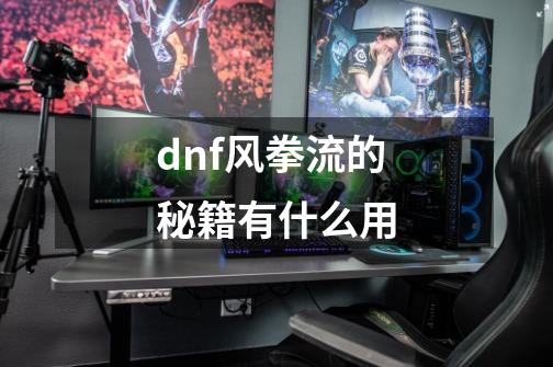 dnf风拳流的秘籍有什么用-第1张-游戏资讯-龙启科技