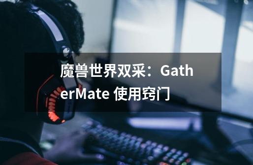 魔兽世界双采：GatherMate 使用窍门-第1张-游戏资讯-龙启科技