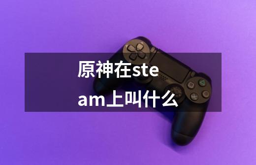 原神在steam上叫什么-第1张-游戏资讯-龙启科技