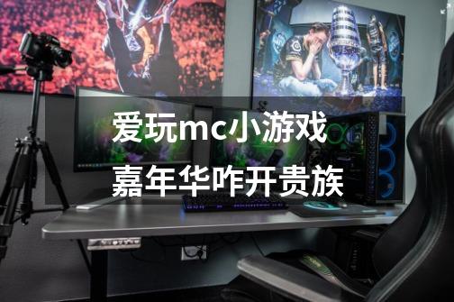 爱玩mc小游戏嘉年华咋开贵族-第1张-游戏资讯-龙启科技