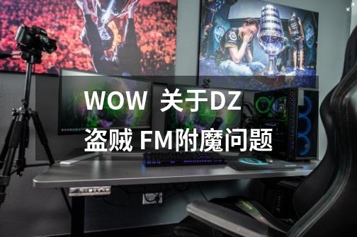 WOW  关于DZ盗贼 FM附魔问题-第1张-游戏资讯-龙启科技