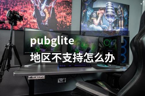 pubglite地区不支持怎么办-第1张-游戏资讯-龙启科技