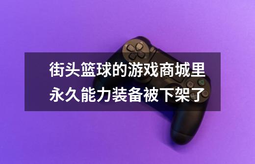 街头篮球的游戏商城里永久能力装备被下架了-第1张-游戏资讯-龙启科技