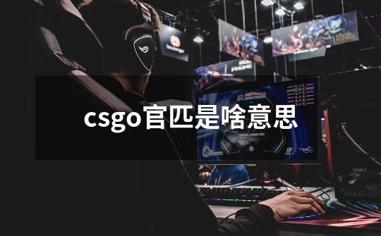 csgo官匹是啥意思-第1张-游戏资讯-龙启科技