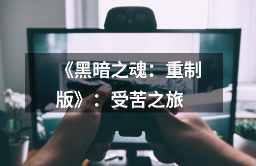 《黑暗之魂：重制版》：受苦之旅-第1张-游戏资讯-龙启科技