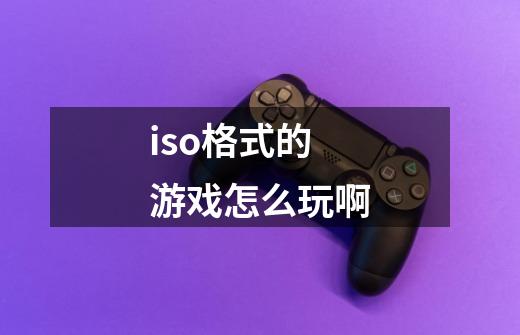 iso格式的游戏怎么玩啊-第1张-游戏资讯-龙启科技