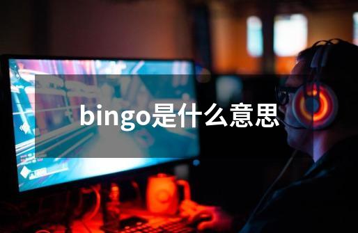 bingo是什么意思-第1张-游戏资讯-龙启科技