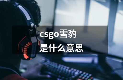 csgo雪豹是什么意思-第1张-游戏资讯-龙启科技