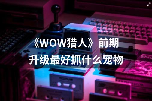 《WOW猎人》前期升级最好抓什么宠物-第1张-游戏资讯-龙启科技