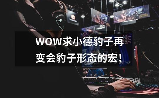 WOW求小德豹子再变会豹子形态的宏！-第1张-游戏资讯-龙启科技