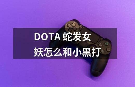 DOTA 蛇发女妖怎么和小黑打-第1张-游戏资讯-龙启科技