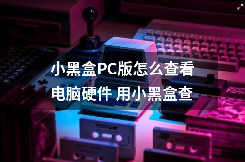 小黑盒PC版怎么查看电脑硬件 用小黑盒查-第1张-游戏资讯-龙启科技