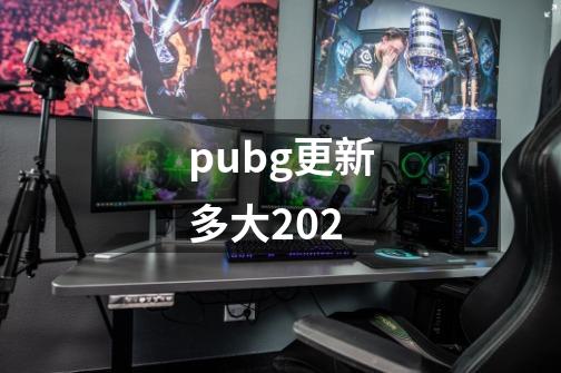 pubg更新多大20.2-第1张-游戏资讯-龙启科技