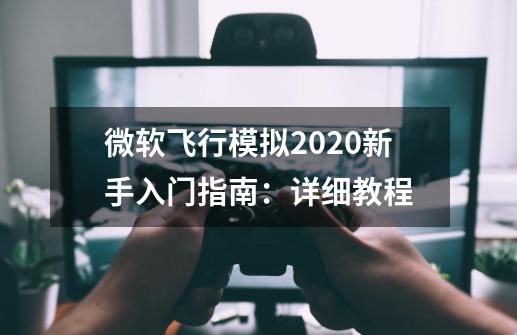 微软飞行模拟2020新手入门指南：详细教程-第1张-游戏资讯-龙启科技