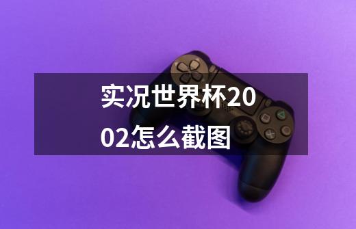 实况世界杯2002怎么截图-第1张-游戏资讯-龙启科技