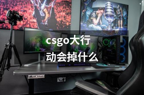 csgo大行动会掉什么-第1张-游戏资讯-龙启科技