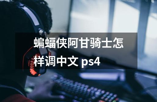 蝙蝠侠阿甘骑士怎样调中文 ps4-第1张-游戏资讯-龙启科技