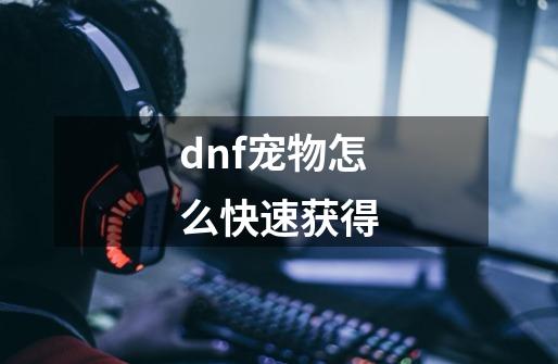 dnf宠物怎么快速获得-第1张-游戏资讯-龙启科技