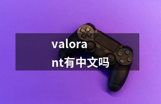 valorant有中文吗-第1张-游戏资讯-龙启科技