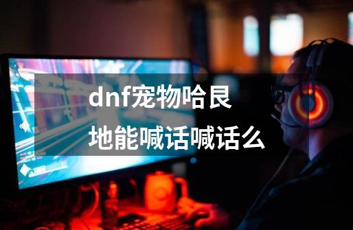 dnf宠物哈艮地能喊话喊话么-第1张-游戏资讯-龙启科技