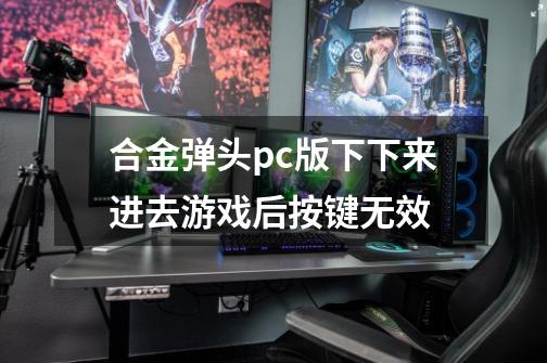 合金弹头pc版下下来进去游戏后按键无效-第1张-游戏资讯-龙启科技