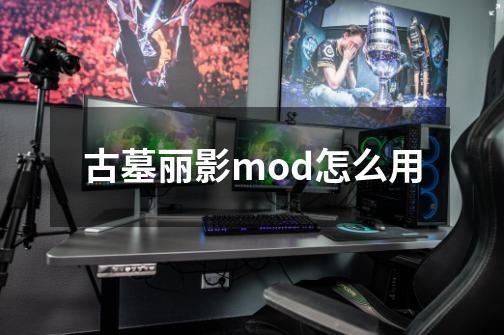 古墓丽影mod怎么用-第1张-游戏资讯-龙启科技