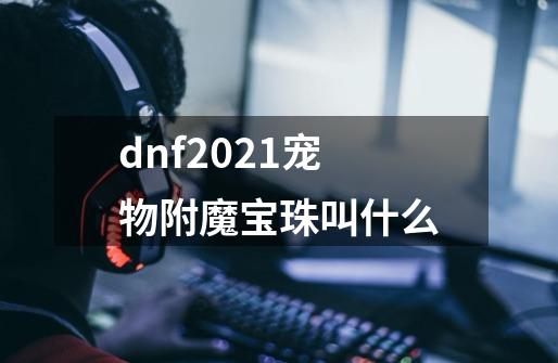 dnf2021宠物附魔宝珠叫什么-第1张-游戏资讯-龙启科技