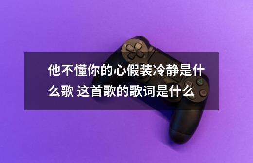 他不懂你的心假装冷静是什么歌 这首歌的歌词是什么-第1张-游戏资讯-龙启科技