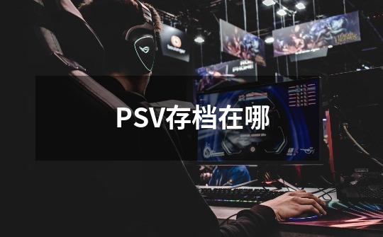 PSV存档在哪-第1张-游戏资讯-龙启科技