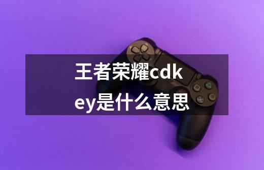 王者荣耀cdkey是什么意思-第1张-游戏资讯-龙启科技