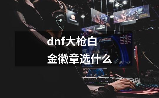 dnf大枪白金徽章选什么-第1张-游戏资讯-龙启科技