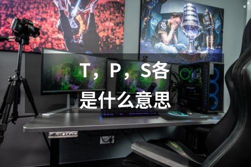 T，P，S各是什么意思-第1张-游戏资讯-龙启科技