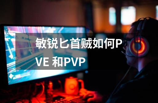 敏锐匕首贼如何PVE 和PVP-第1张-游戏资讯-龙启科技