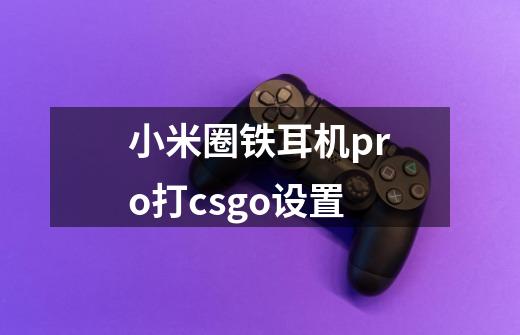 小米圈铁耳机pro打csgo设置-第1张-游戏资讯-龙启科技