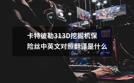 卡特彼勒313D挖掘机保险丝中英文对照翻译是什么-第1张-游戏资讯-龙启科技