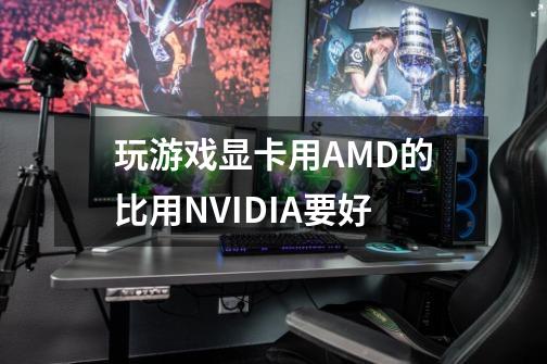 玩游戏显卡用AMD的比用NVIDIA要好-第1张-游戏资讯-龙启科技