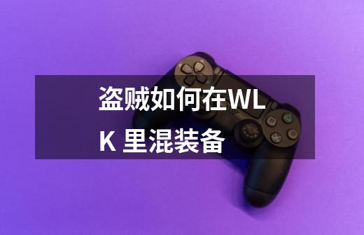 盗贼如何在WLK 里混装备-第1张-游戏资讯-龙启科技