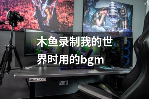 木鱼录制我的世界时用的bgm-第1张-游戏资讯-龙启科技