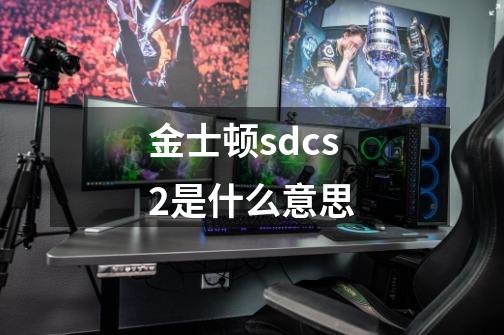 金士顿sdcs2是什么意思-第1张-游戏资讯-龙启科技